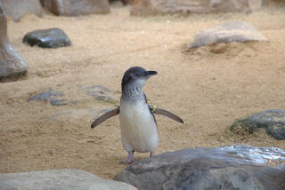 DSC_0141.jpg